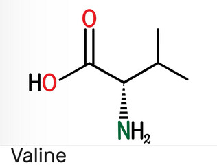 Valine, Val, L-valine molecule, is α-amino acid . It is used in the biosynthesis of proteins.  Structural chemical formula