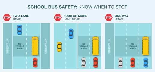 School bus stop rules infographic. Road safety. Flat vector illustration. © flatvectors