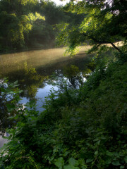 Calm river in a forested area with rays of sunlight showing