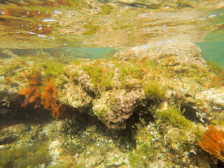 Underwater Las Rotas beach San Antonio Nature reserve in Denia Alicante Spain