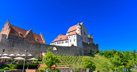 Burg Alzenau	