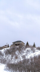 Vertical crop Hill with homes and leafless bushes on its gentle slope with snow in winter