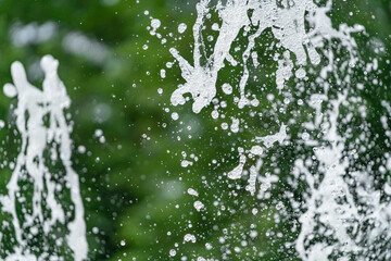 splashing water on a background of green trees