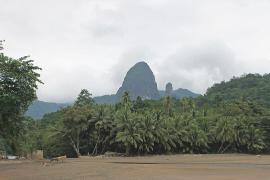Tropical vegetation existing on the shores of the beach of Caixao, in the west of the island of Principe, São Tomé and Príncipe