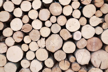 Cross section of the timber, firewood stack for the background. A lot of cutted logs. Stack of sawn logs. Natural wooden decor background. Pile of chopped fire wood prepared for winter.