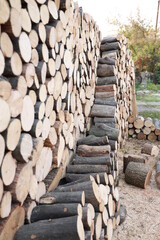 Cross section of the timber, firewood stack for the background. A lot of cutted logs. Stack of sawn logs. Natural wooden decor background. Pile of chopped fire wood prepared for winter.