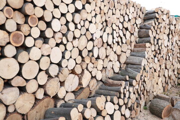 Cross section of the timber, firewood stack for the background. A lot of cutted logs. Stack of sawn logs. Natural wooden decor background. Pile of chopped fire wood prepared for winter.