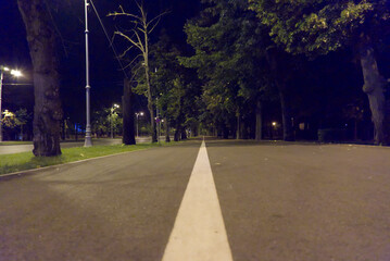 road in the park