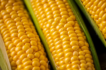 Closeup image of fresh yellow corn.