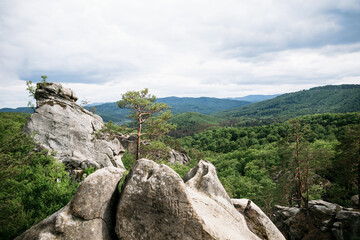 Rocks in the mountains among the forest. Geological rock, stones