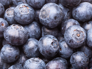 Freshly picked blueberries close up picture