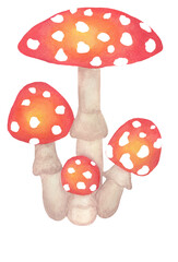 raster image fly agaric mushroom poisonous mushroom
