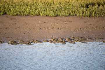 Gilao river in Tavira Algarve Portugal