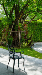 Obraz premium Iron chair in the afternoon garden