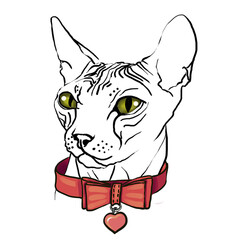 drawing Sphinx head cat in a red collar butterfly on a white background isolate
