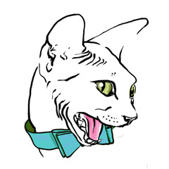 drawing Sphinx cat in a blue collar butterfly on a white background isolate