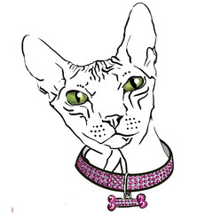 drawing Sphinx cat in a pink collar on a white background isolate