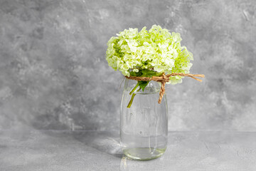 A transparent vase full of freshly cut flowers, on a gray background. Flowers are collected in nature, hydrangea.