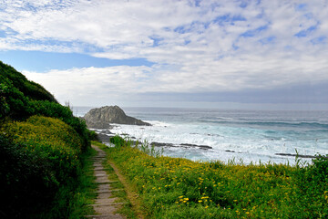 
Beginn der Wanderung zum Otter Trail Wasserfall, Tsitsikamma National Park,