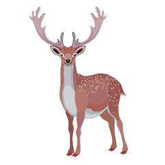 deer with big horns in natural style, isolated object on a white background, vector illustration,