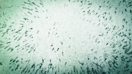 The surface is light green with dots around the body, light green surface for use as a background.