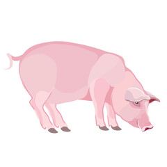 pink pig in natural style, isolated object on a white background, vector illustration,