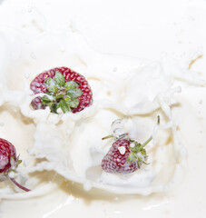 Strawberries falling into milk, spray, close up