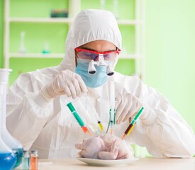 Lab assistant testing GMO chicken