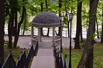wooden bridge in the forest