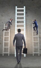 Career progression concept with various ladders