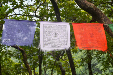 Tibetian prayer flags in the woods