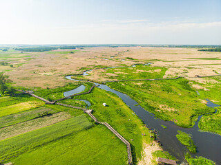 Narew Podlasie Podlaskie Narwiański Park Narodowy  Rzeka kładka trzcina łąka pole widok z drona
