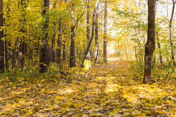 Child girl with dog outdoors. Kid with pet at autumn. Jack russell terrier puppy.