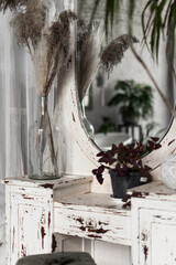 Decor and house plant on wooden console table with mirror