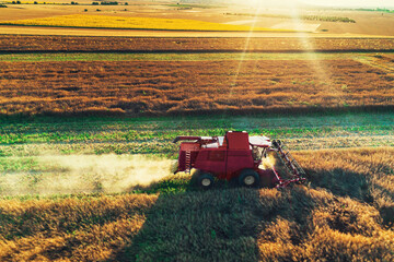 Combine harvester agriculture machine harvesting golden ripe wheat field