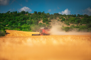 Fototapeta premium Combine harvester agriculture machine harvesting golden ripe wheat field