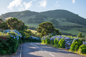 Walk on the Azores archipelago. Discovery of the island of Pico, Azores. Madalena