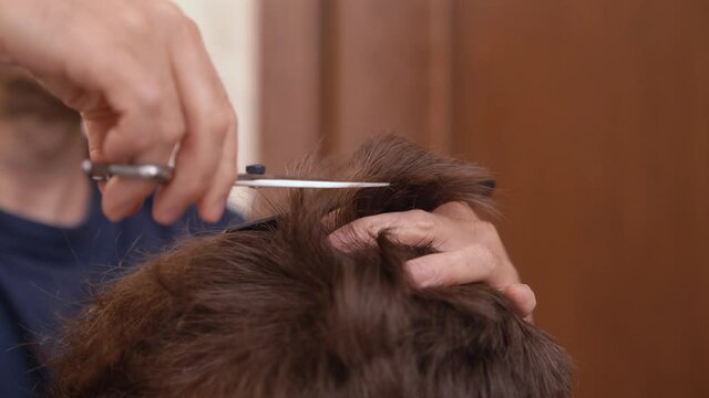 Crop barber clipping hair of man using hairdressing shears in bathroom
