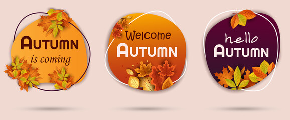 Fall. Autumn. Vector design set of banners for autumn season bright autumn leaves. Autumn collection for seasonal template, flyer, poster, card, label.