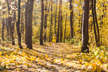 Child playing in autumn park with a jack russell terrier. Kid and jack russell terrier dog.