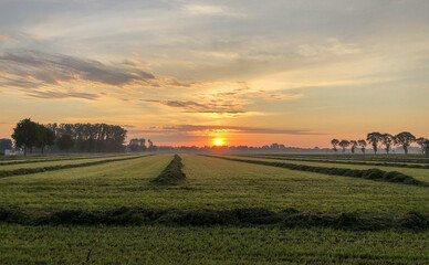 Dramatic and colorful sunrise sky. Dramatic and colorful sunrise or sunset sky over a grassy green farmfield
