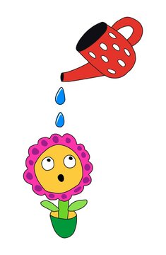 A flower is watered from a watering can.