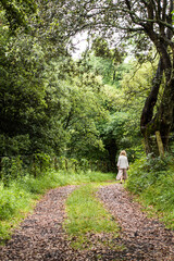 Woman walk in the forest