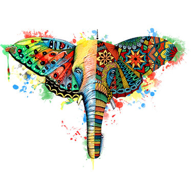 Butterfly,elephant watercolor illustration. Hand drawn digital artwork