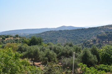 Fototapeta na wymiar Natur Kreta