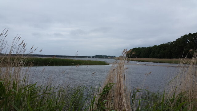 Wiese am Meer