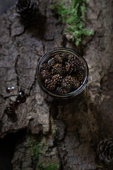 Pine cone jam with sugar 