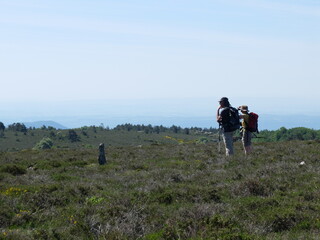 randonneurs dans la lande