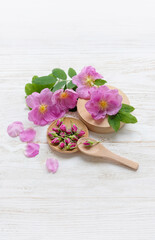 rosehip buds and flowers, medicinal herb collection. Rose hips (Rosa canina) fresh flowers on white wooden table 