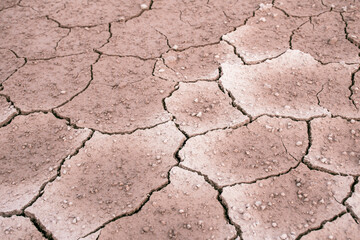 Ground dried and cracked background, drought disaster in summer season, Global warming crisis concept